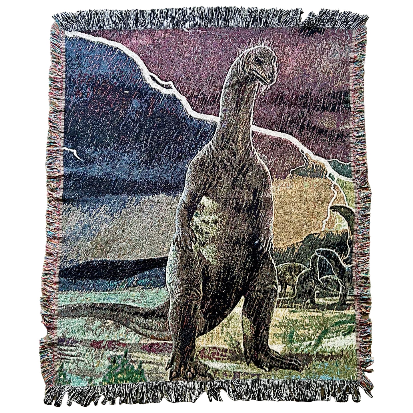 Dinosaur in the Rain blanket (60"x50")