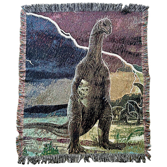 Dinosaur in the Rain blanket (60"x50")